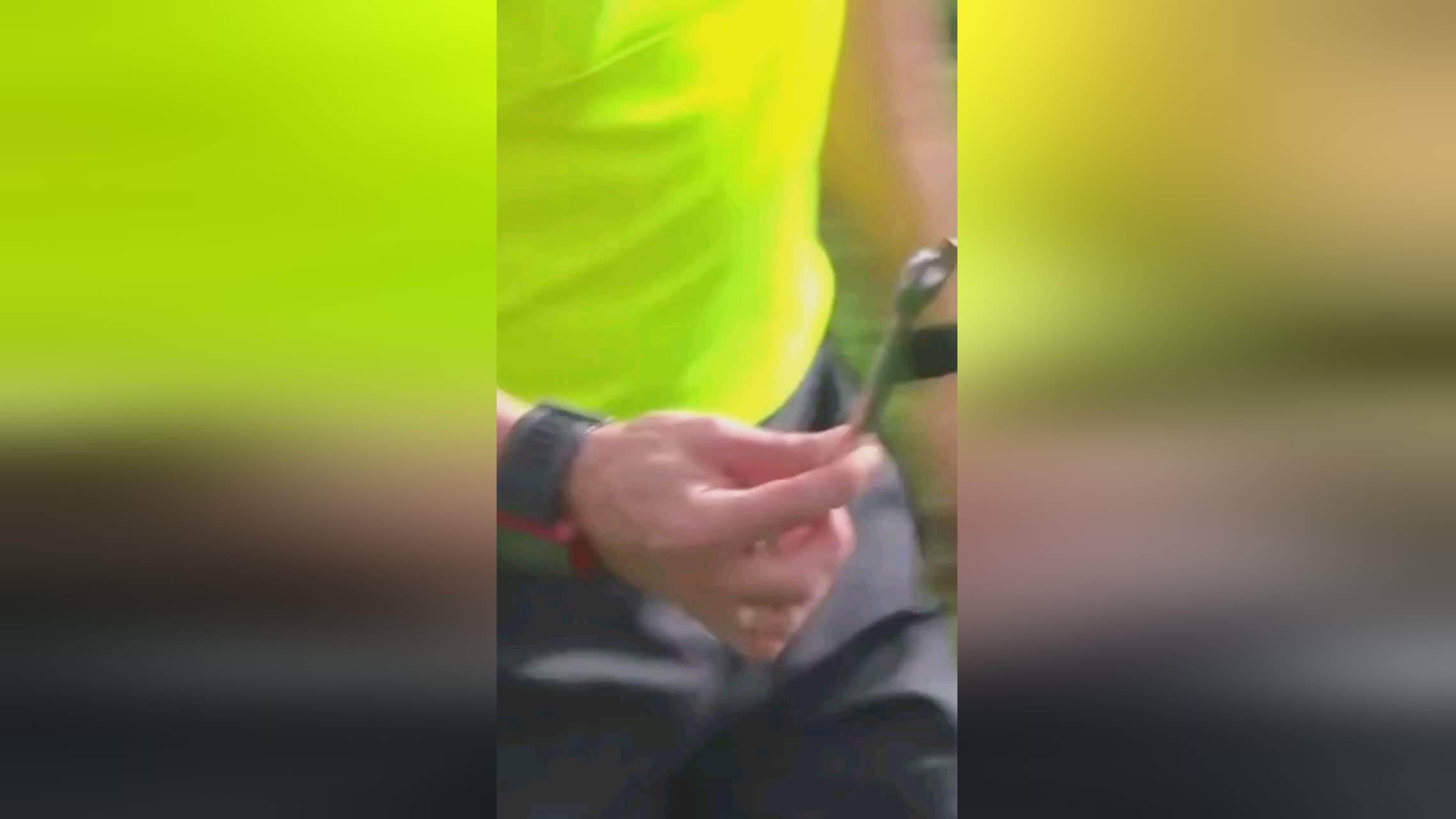 又辅以灵动