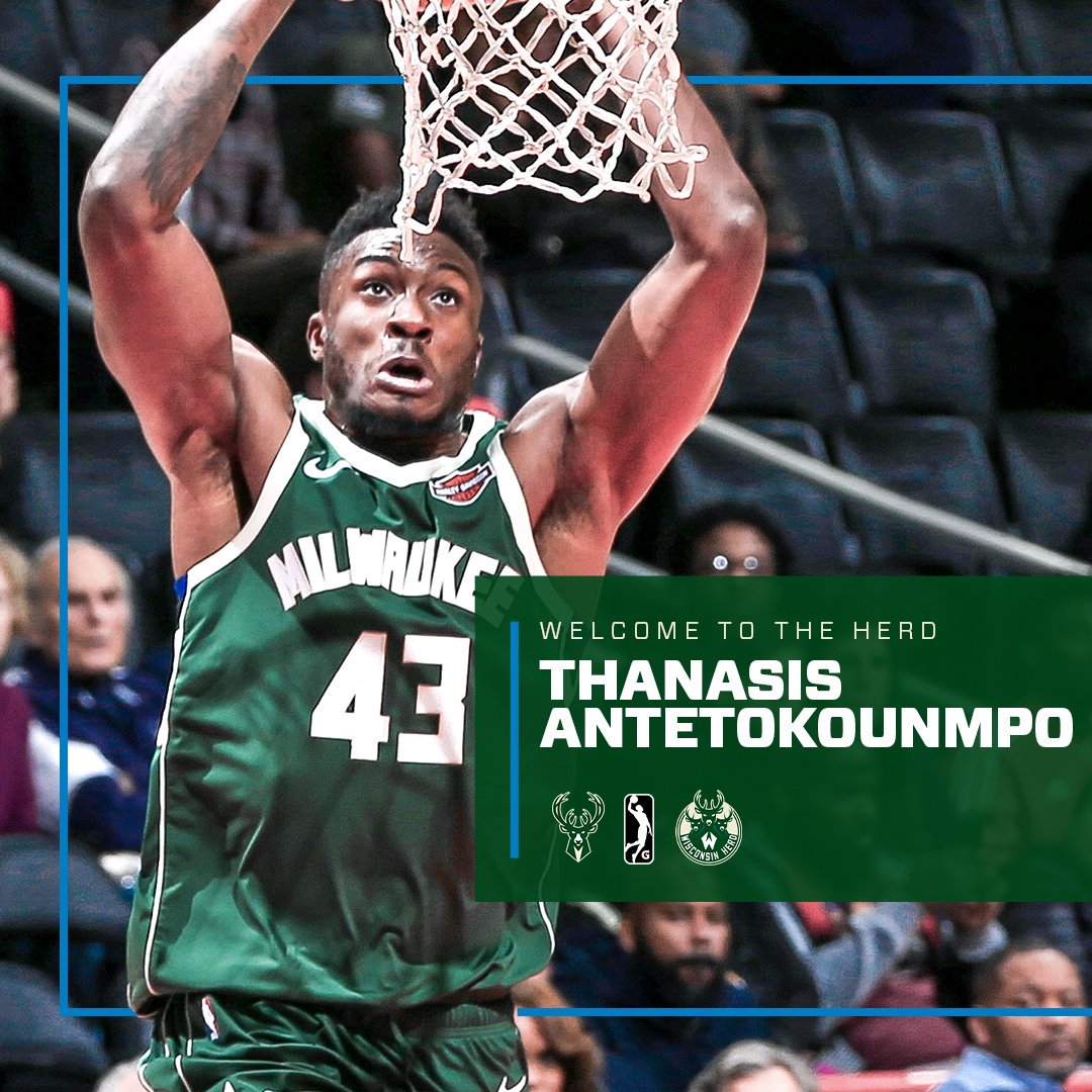 本赛季的数 本赛季的数